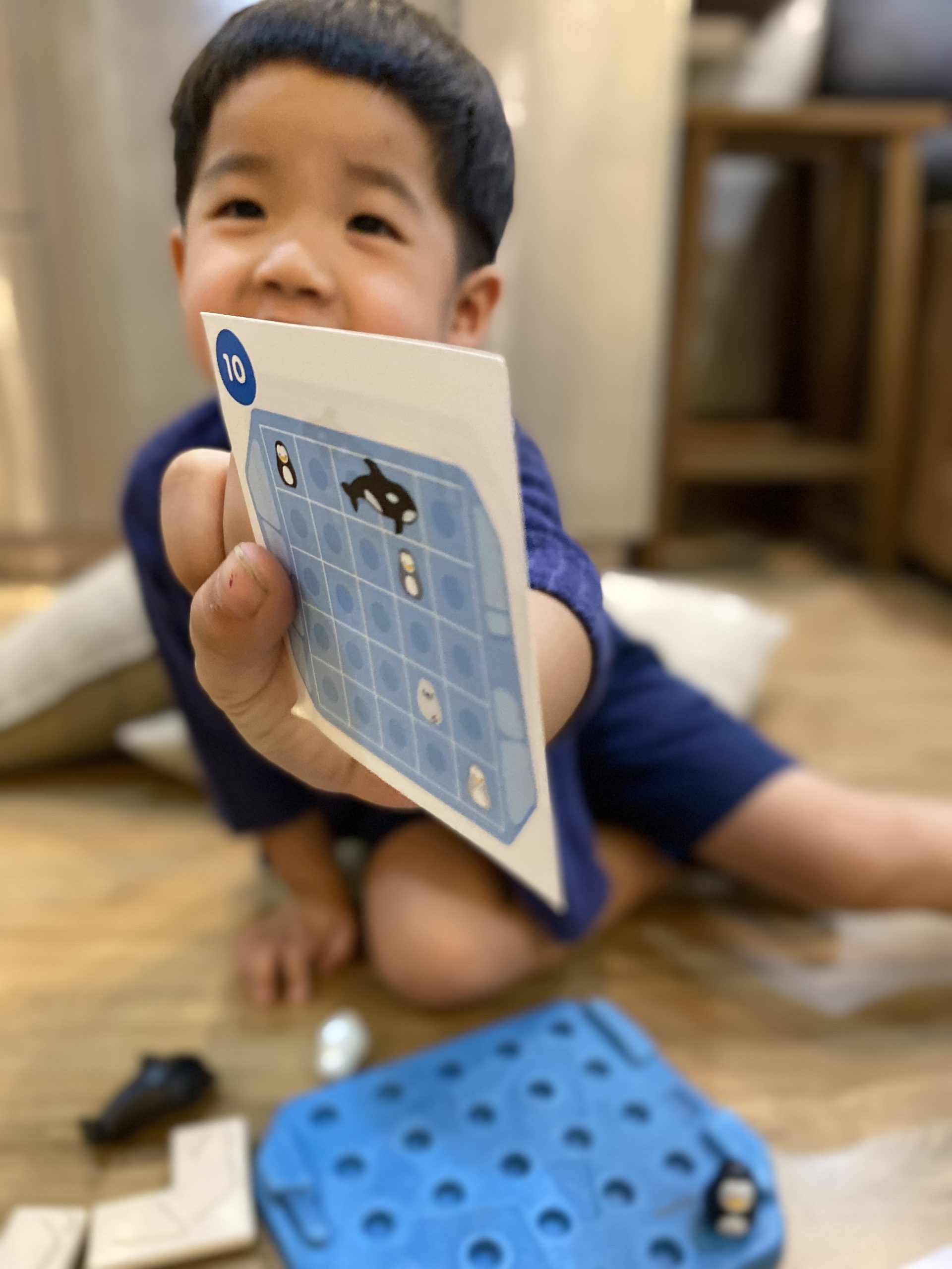 Trova il pinguino - immagine 4